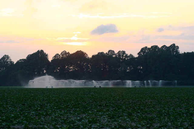 irrigation1_jpgrs_.jpg