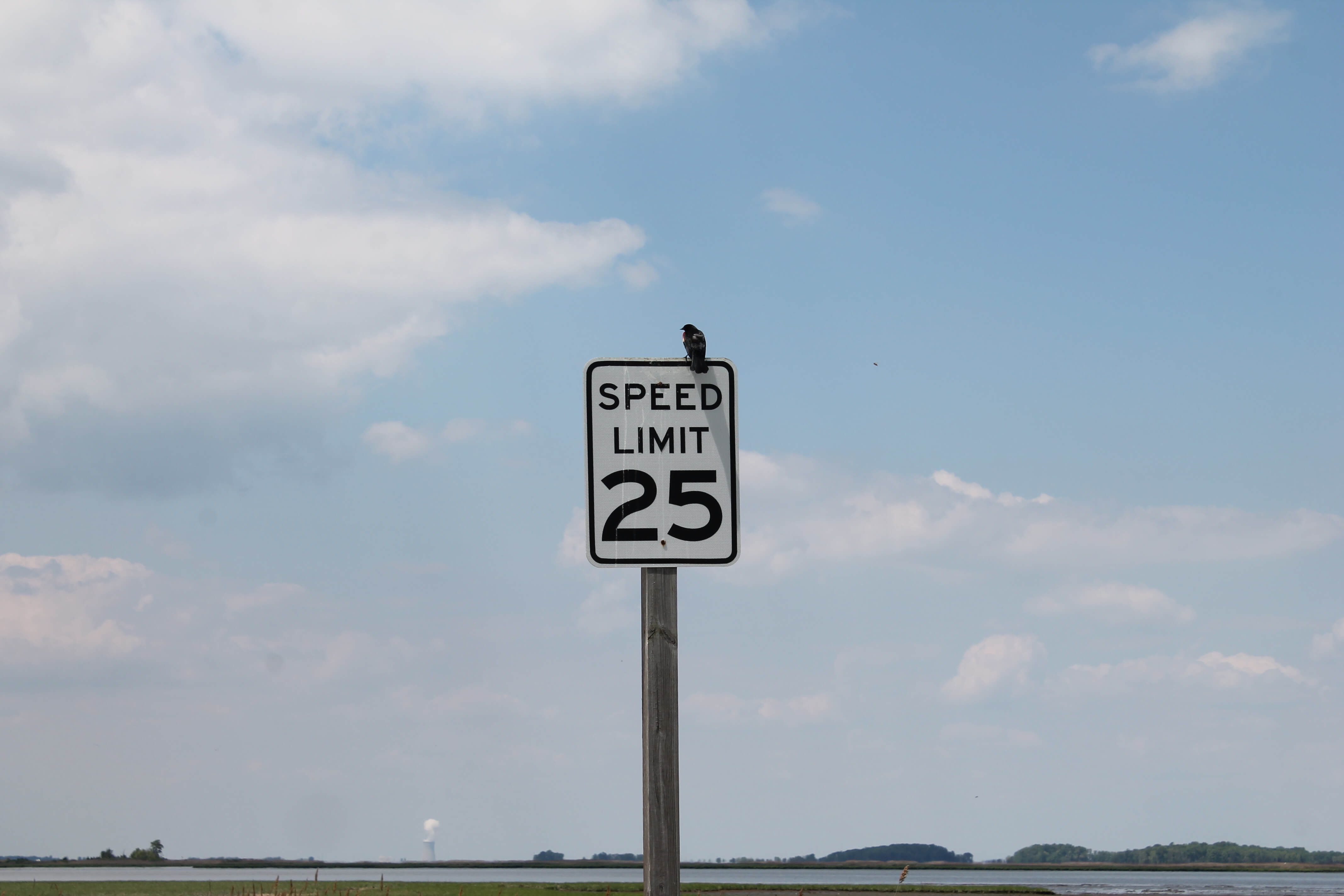 sign