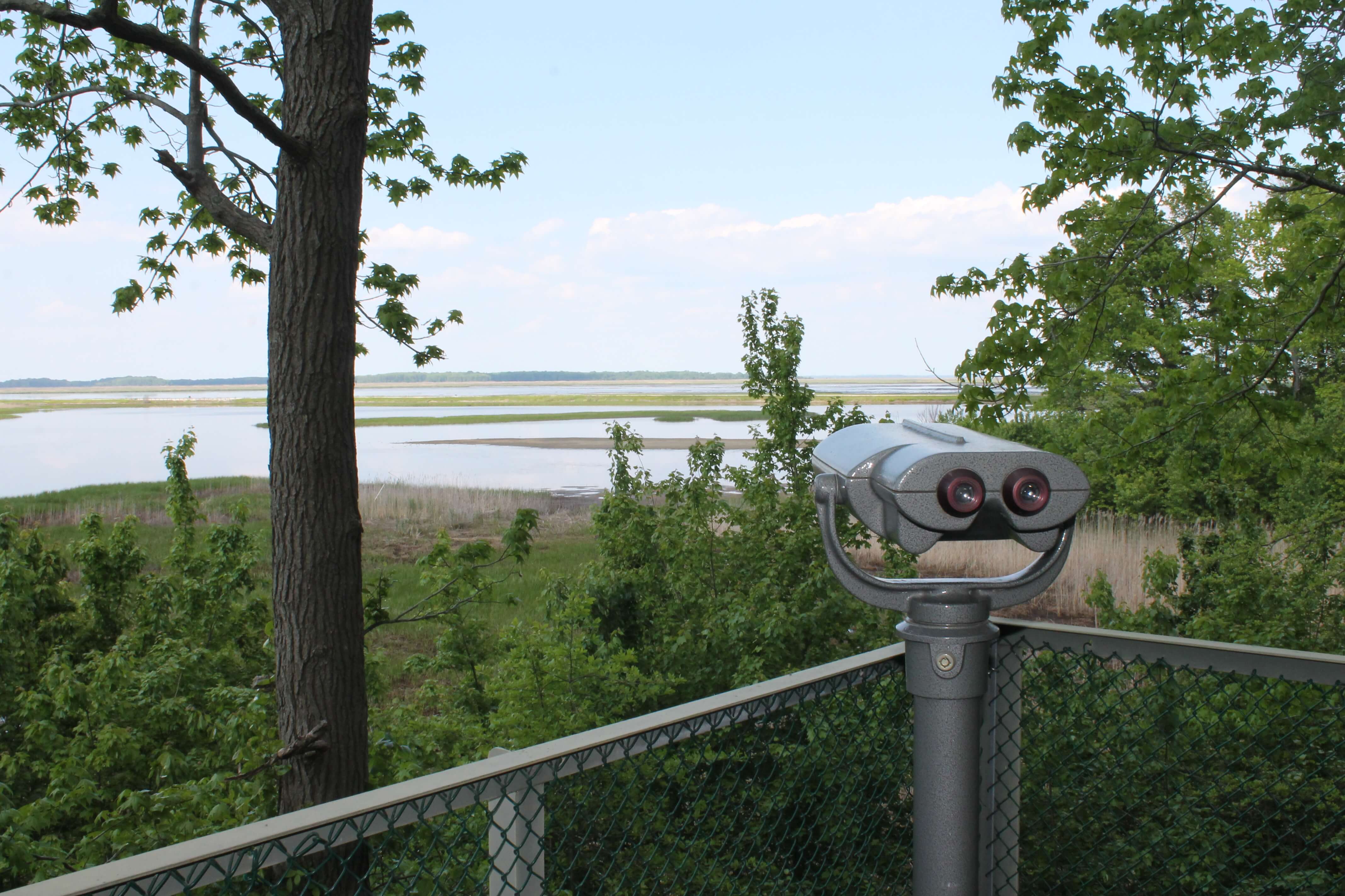 lookout