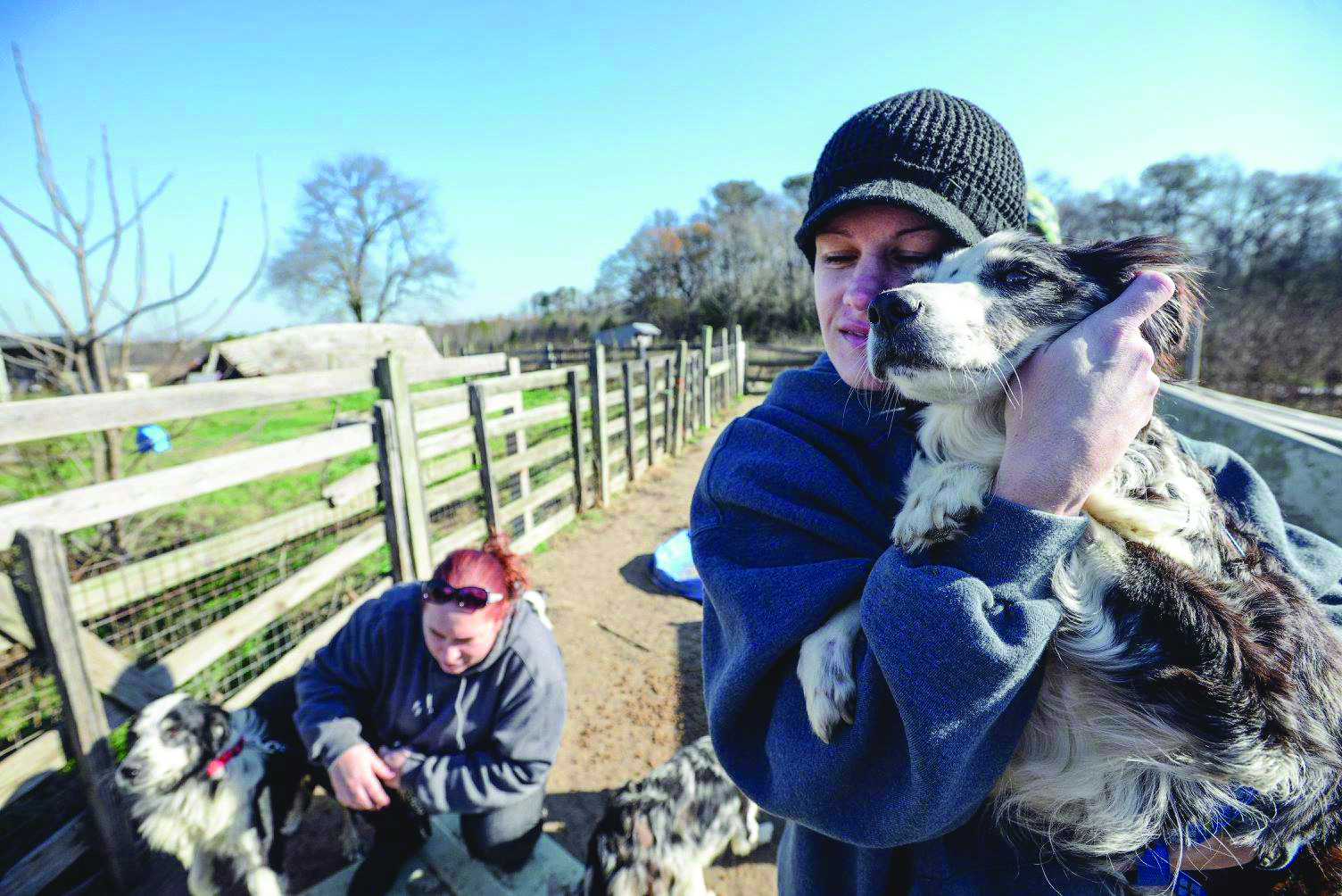 Volunteers remove neglected animals from  a Sussex County property.