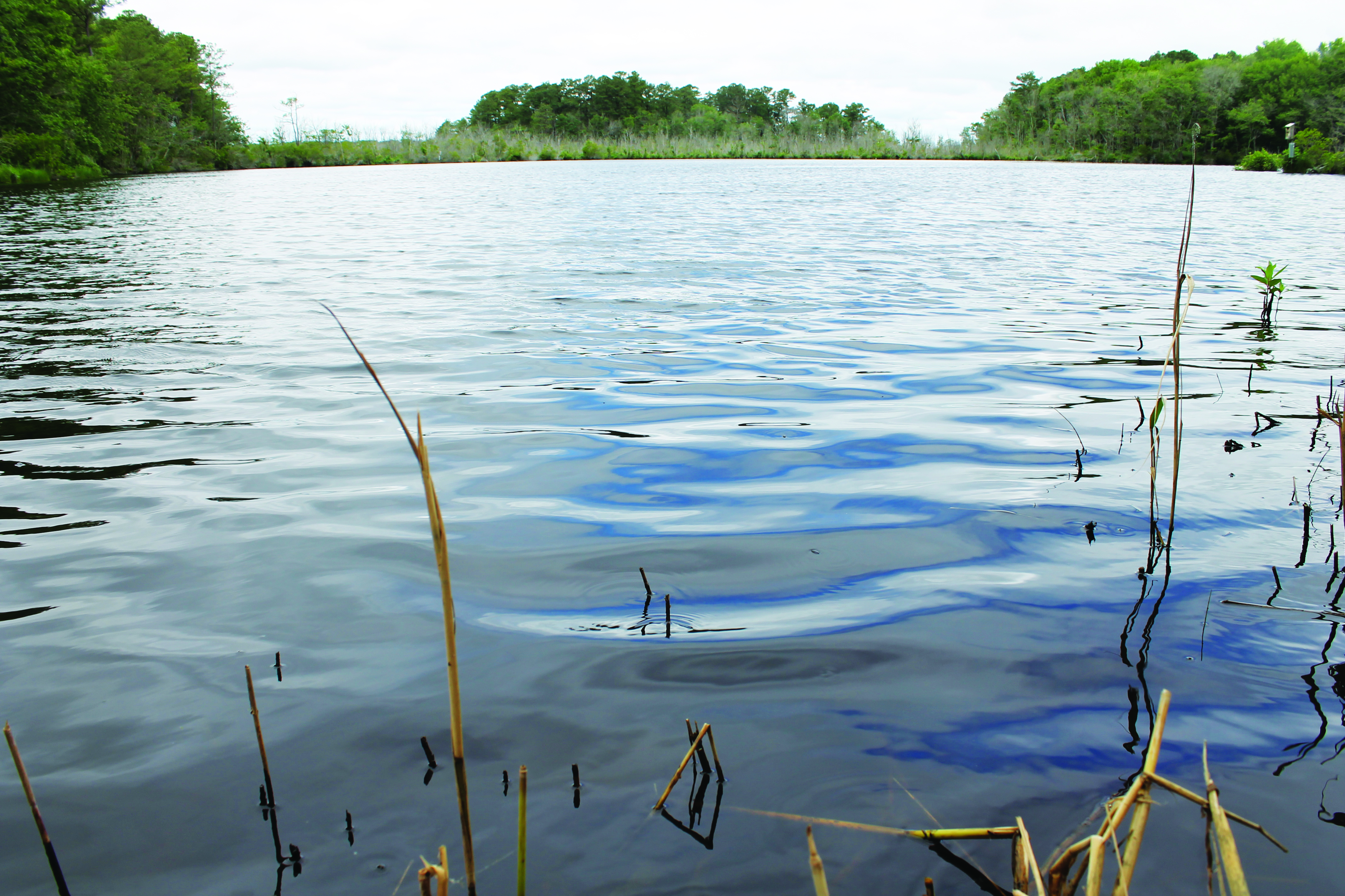 Turkle Pond offers boating and fishing.