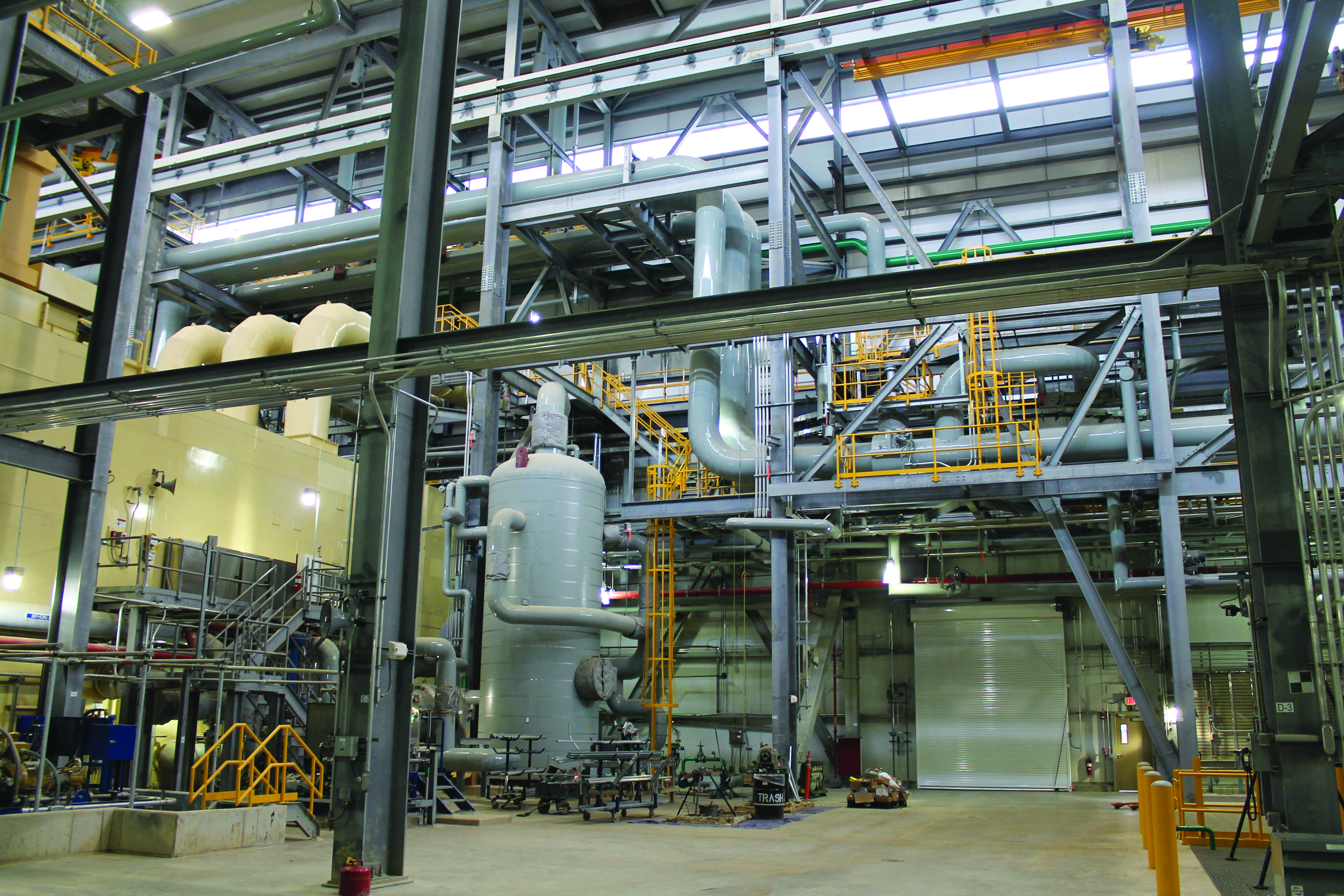 Inside the plant