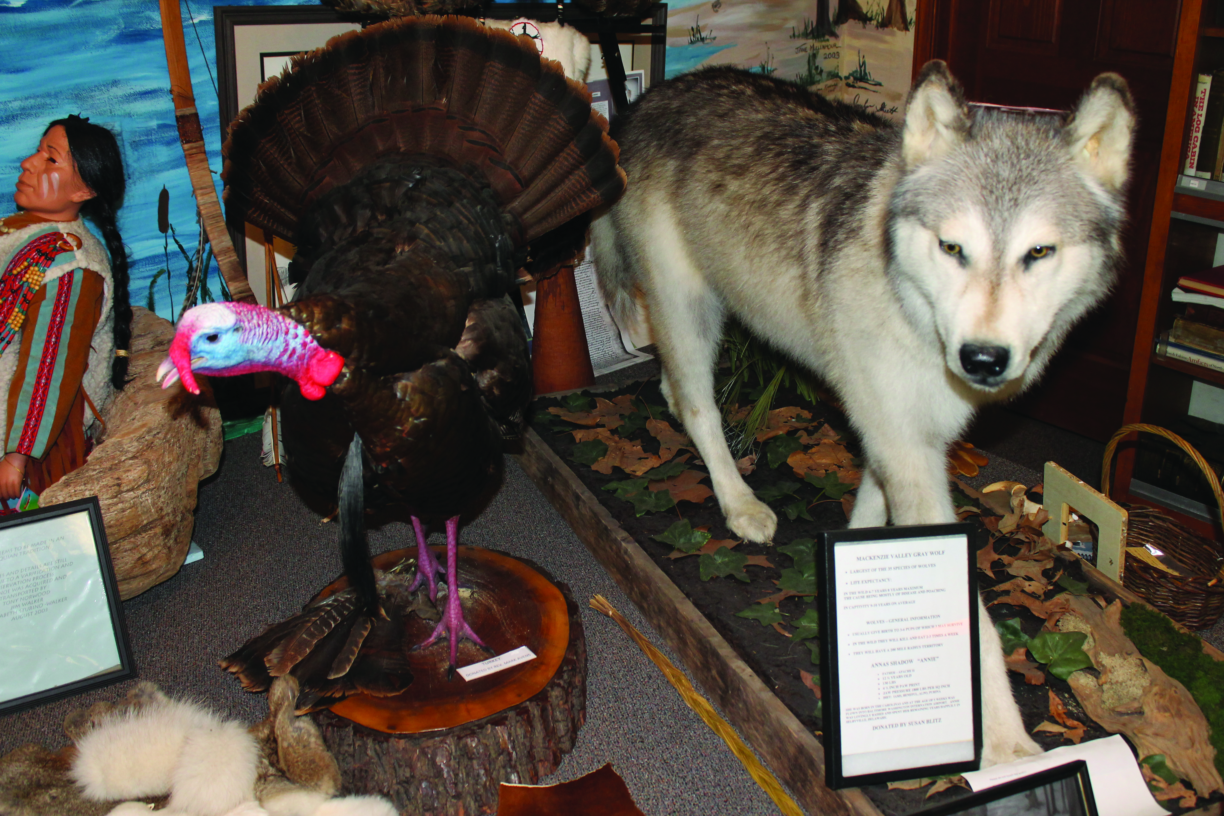 The Nanticoke Indian Museum in Millsboro features artifacts dating back to 9500 B.C., including ceramics and Native American tools.