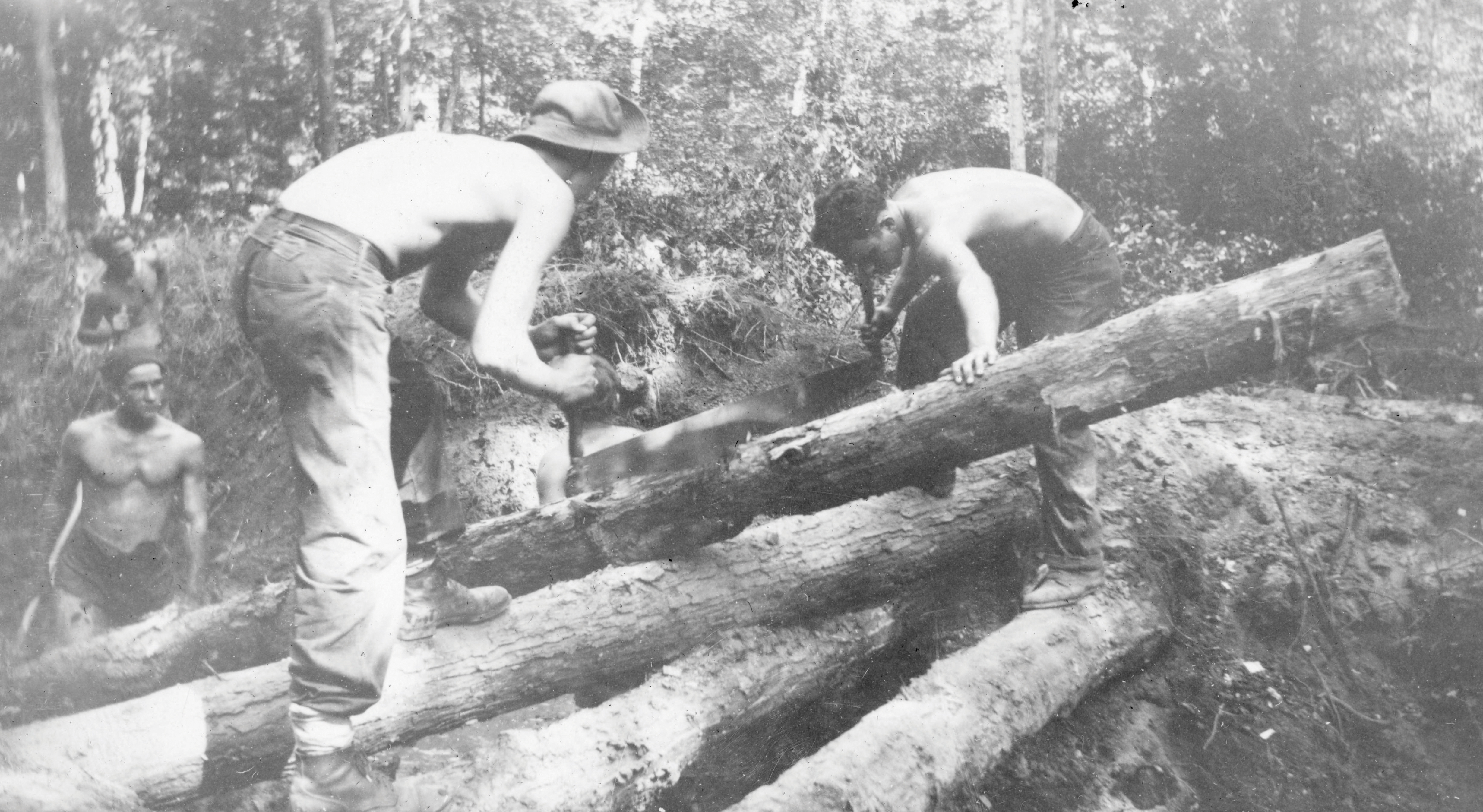CCC workers sawing a log in Kent County.