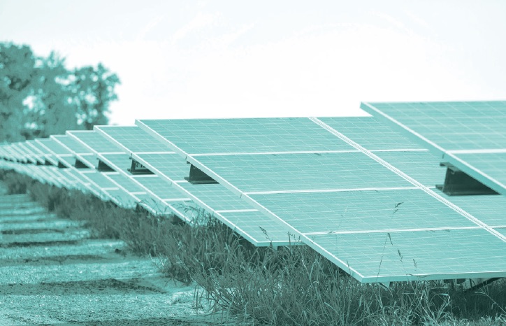 In 2012, DEC dedicated the Bruce A. Henry Solar Energy Farm.
