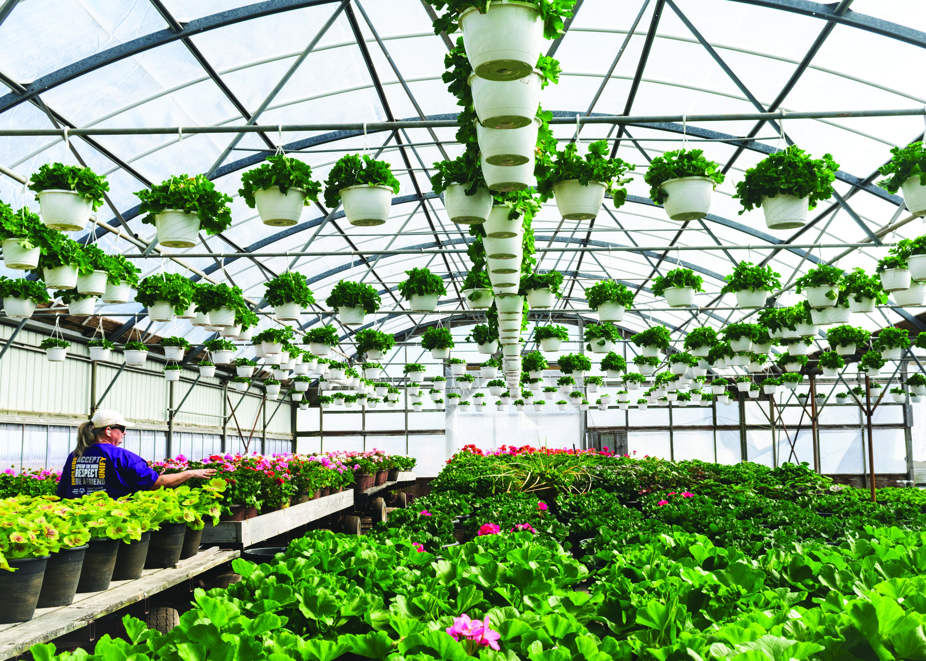 Blessing Greenhouse 