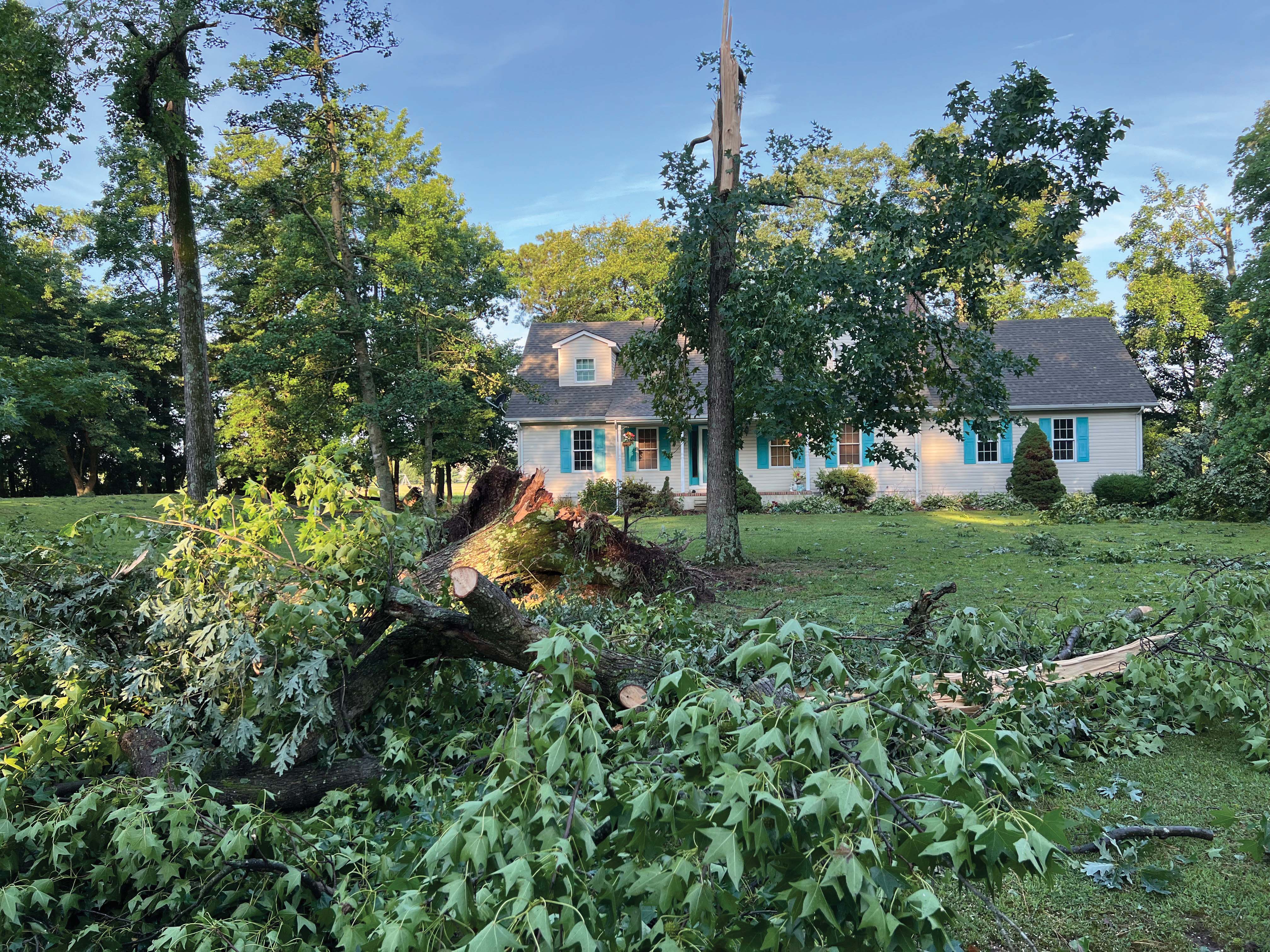 In July, some members experienced extended outages when severe weather hit in Harrington.