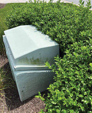 Planting too close to electrical equipment can be a safety hazard to DEC employees.