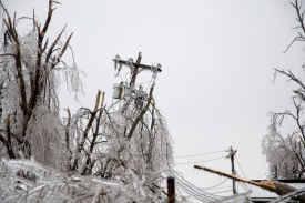 Winter Storm Tips