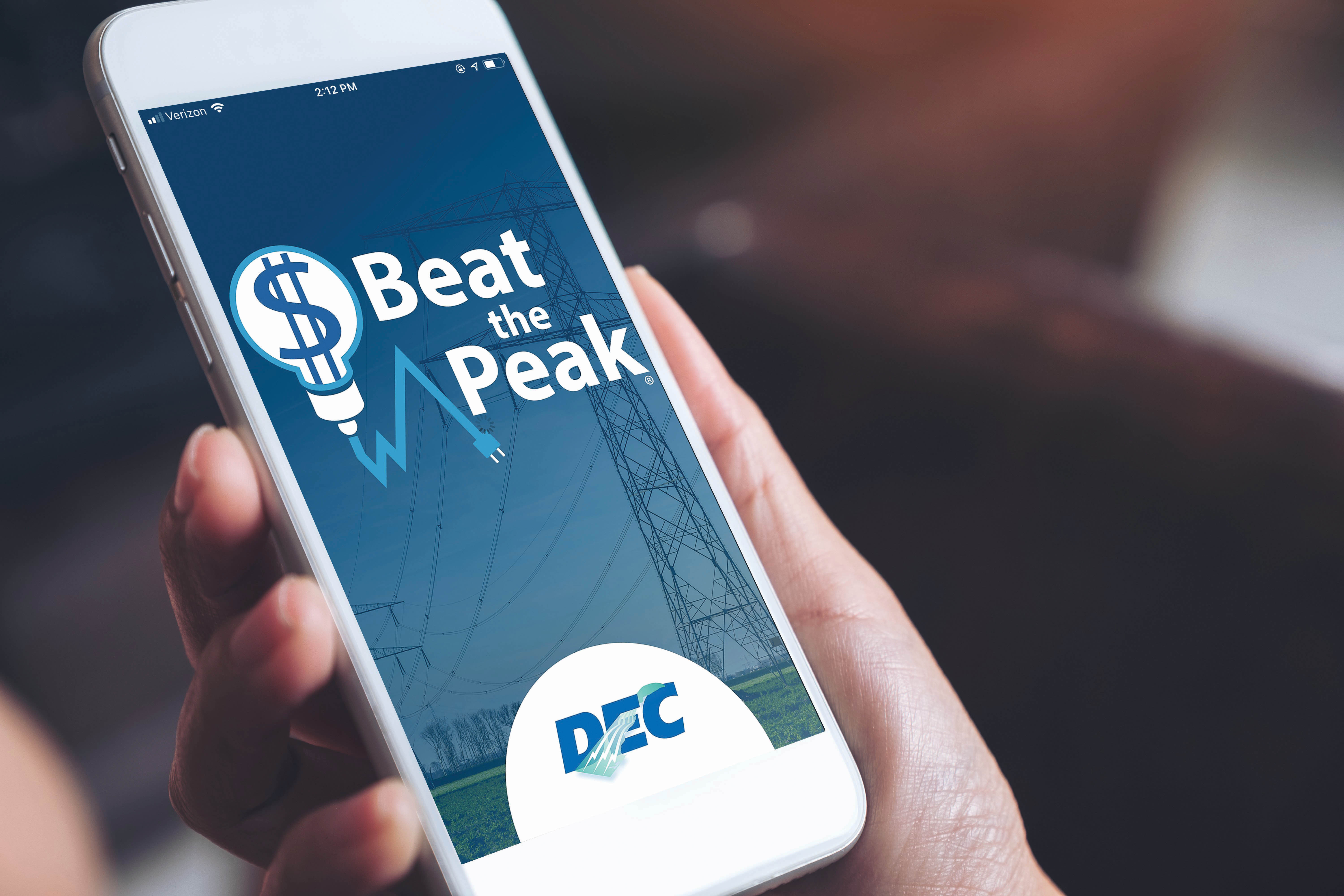 DEC launches its innovative Beat the Peak program in 2008.