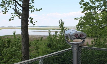Binoculars on deck overlooking water