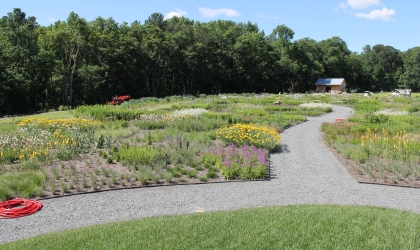 Garden with path
