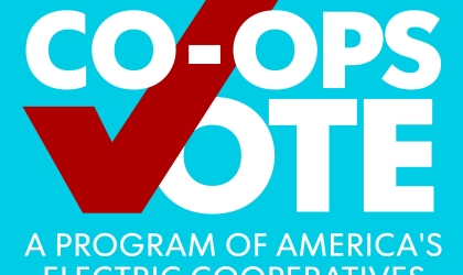 Voting Sign