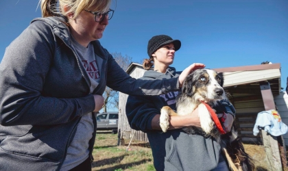 Girl Petting Dog