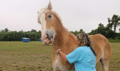 Lady with horse