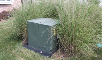 Plants around transformer