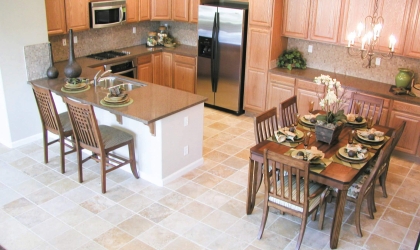 Kitchen picture