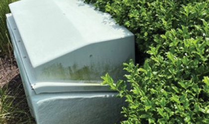 Vegetation Management