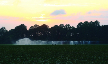 Irrigation System