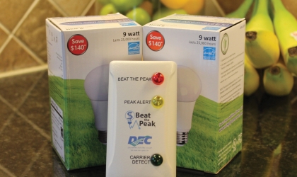As of October 1, DEC is discontinuing its Beat the Peak home indicator program.