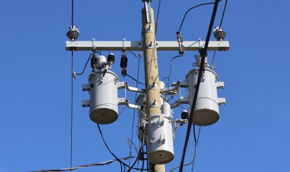 Through the use of animal guards on our system, DEC prioritizes the protection of its lines from unnecessary damage due to animal interference.