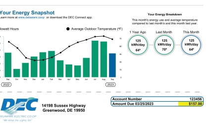 Based on member feedback, DEC has made changes to our electric bills to make them more easily understood by members.