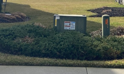 To ensure DEC employees can easily access electrical equipment for maintenance or to restore power, Co-op rules prevent members from planting within ten feet in front of - as well as five feet one either side or behind - electrical equipment.