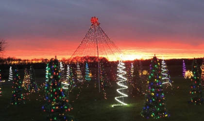 Visitors to the Drive-Thru Christmas on Merry Lane lights display will be delighted by a variety of holiday lights and decorations when they arrive, including those that illuminate the section of the display known as Frosty Forest.