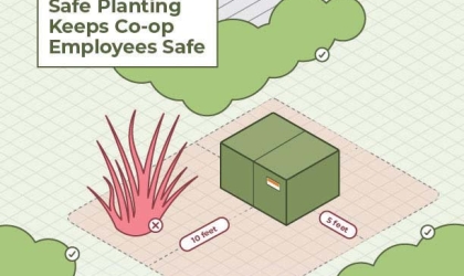A diagram showing DEC's clearance zone around electrical equipment – 10 feet in front of the equipment, and five feet on either side or behind it must remain clear of vegetation.