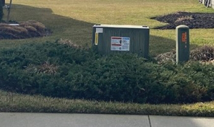 A transformer and power pedestal with vegetation grown — against regulations — into the clearance zone.