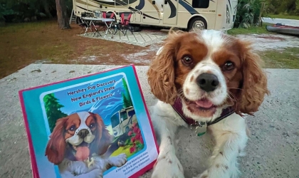 Erik and Jeanne Anderson's canine companion Hershey Pup poses with the book about he and the couple's national park travels.