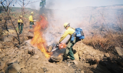 DEC Board member uses a chainsaw to cut a burning stump during a wildfire.