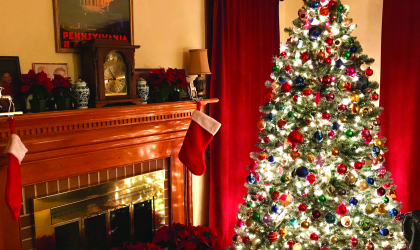 A living room decorated for Christmas, including stockings on the fireplace, poinsettias and a fully-decorated Christmas tree with lights.