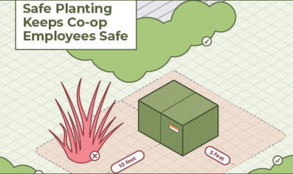 A diagram showing DEC's clearance zone around electrical equipment – 10 feet in front of the equipment, and five feet on either side, behind or from the corners of it must remain clear of vegetation.