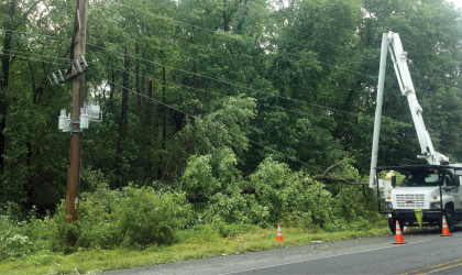 A contractor crew works to remove tree limbs that have fallen on DEC power lines.