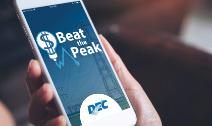 DEC's Beat the Peak program has saved members more than $4.5 million in 2026.