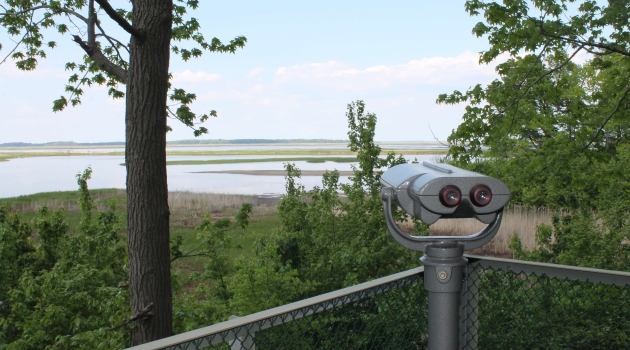 Binoculars on deck overlooking water