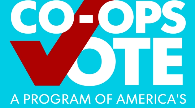 Voting Sign
