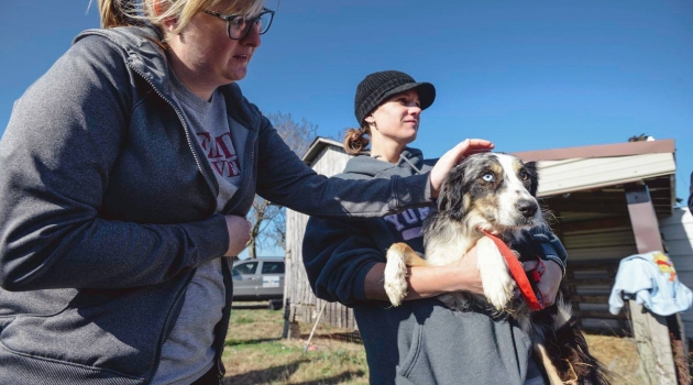 Girl Petting Dog