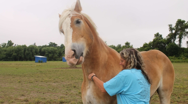 Lady with horse