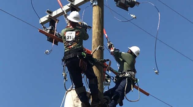 Linemen on Pole