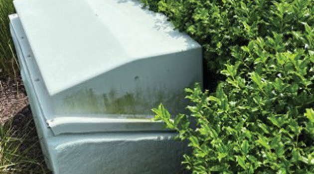 Vegetation Management