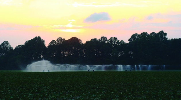 Irrigation System