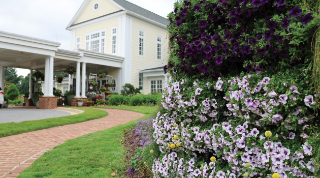 The vivid floral displays at Baywood Greens in Long Neck are a welcoming sight to visitors and residents alike.
