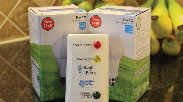 As of October 1, DEC is discontinuing its Beat the Peak home indicator program.