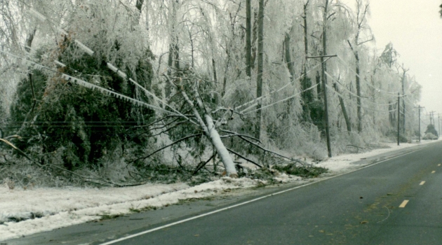 Greenlee says he remembers when tree branches would snap under the weight of the ice, the sound resembled that of gun shots.