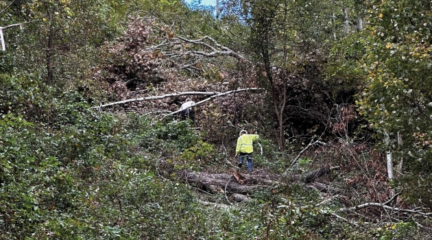 On Tuesday, October 1, nine of DEC's finest packed up their gear and began the long drive to North Carolina to help our friends at Blue Ridge Energy respond to damage caused by Hurricane Helene.