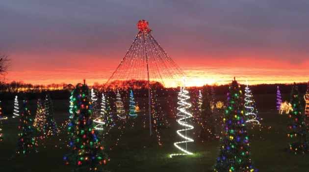 Visitors to the Drive-Thru Christmas on Merry Lane lights display will be delighted by a variety of holiday lights and decorations when they arrive, including those that illuminate the section of the display known as Frosty Forest.
