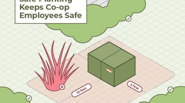 A diagram showing DEC's clearance zone around electrical equipment – 10 feet in front of the equipment, and five feet on either side or behind it must remain clear of vegetation.