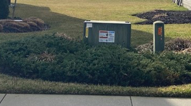 A transformer and power pedestal with vegetation grown — against regulations — into the clearance zone.